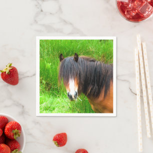 SERVIETTES EN PAPIER CHEVAUX