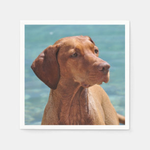 Serviettes En Papier Chien de Magyar Vizsla