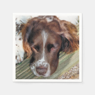 SERVIETTES EN PAPIER CHIENS