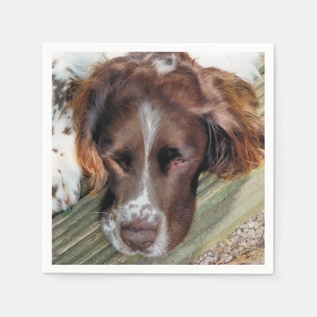 SERVIETTES EN PAPIER CHIENS (Devant)