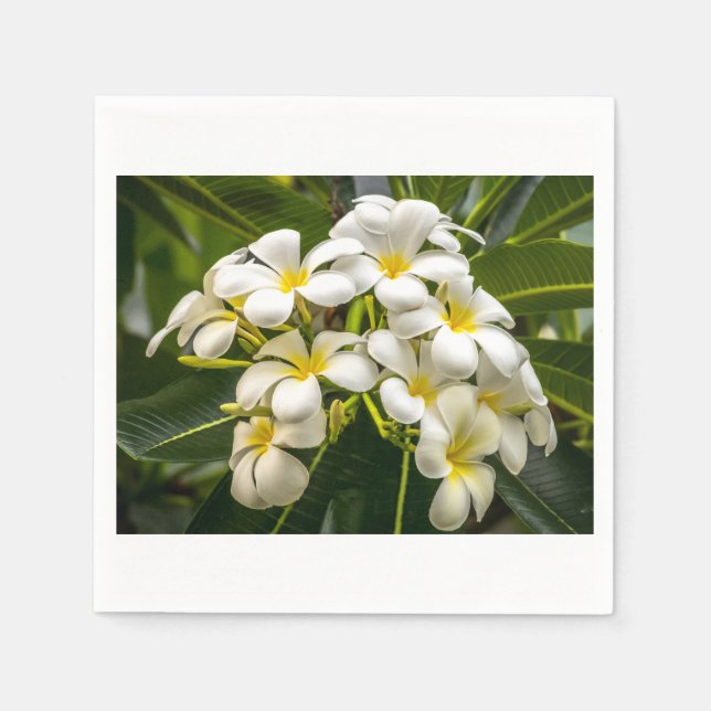 Serviettes En Papier Cocktail Napkin sur l'île exotique de Plumeria (Devant)