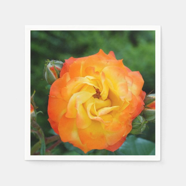 Serviettes En Papier Cocktail rose standard à fleur Napkin (Devant)