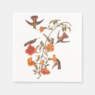 Serviettes En Papier Colibri de la mangrove aux fleurs orange