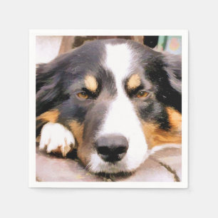 SERVIETTES EN PAPIER COLLIE FRONTALIÈRE