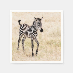 Serviettes En Papier Colt de Zebra