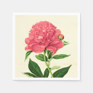 Serviettes En Papier Copie botanique vintage, pivoine rose de corail