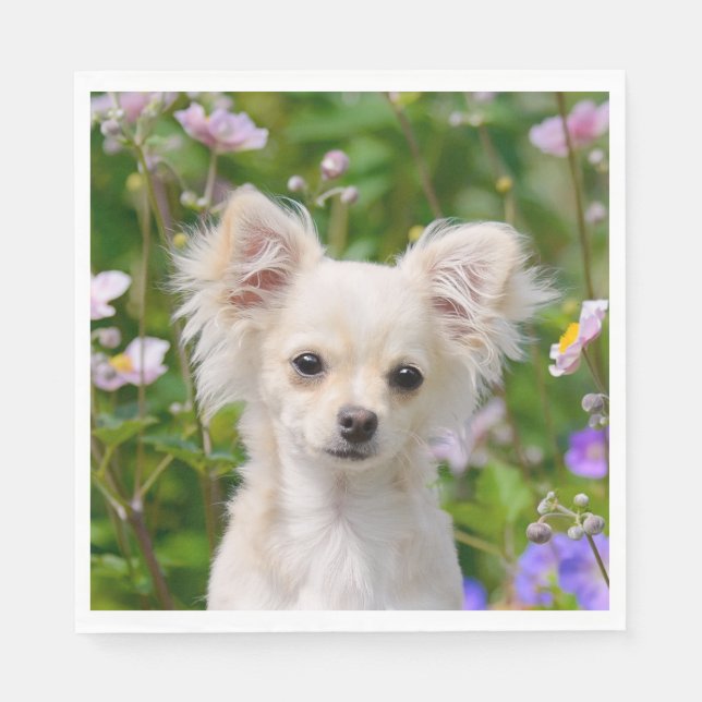 Serviettes En Papier Crème lâche mignonne Chihuahua Chig Chiot Photo su (Devant)