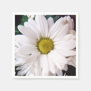 Serviettes En Papier *Daisy* Cocktail Party Napkins