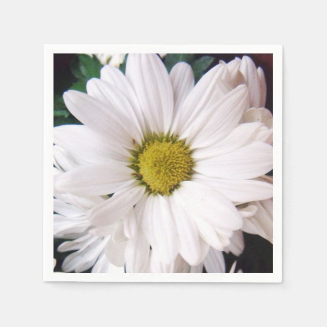 Serviettes En Papier *Daisy* Cocktail Party Napkins (Devant)
