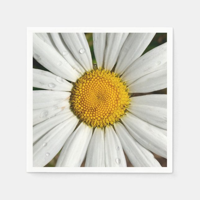 Serviettes en papier de marguerite (Devant)