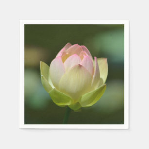 Serviettes En Papier Dreamy Lotus Blossom