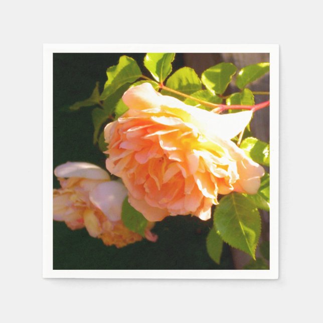 Serviettes En Papier Elégant classique pêche orange rose floral (Devant)