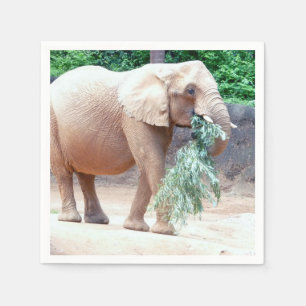 serviettes en papier éléphant