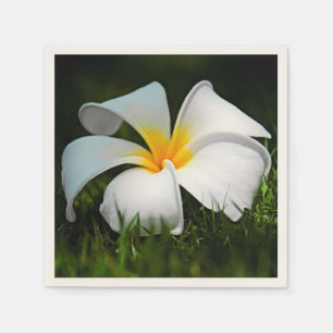 Serviettes En Papier Fleur blanche d'Hawaï de Frangipani de Plumeria