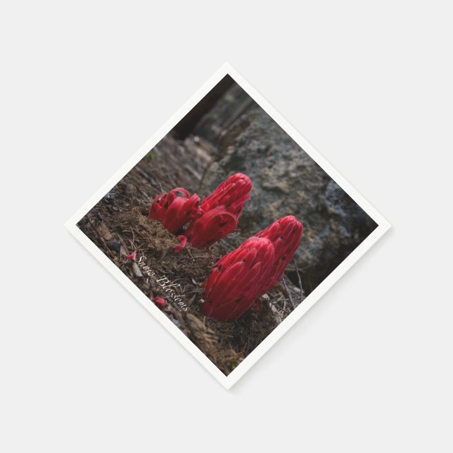 Serviettes En Papier Fleurs de neige (Coin)