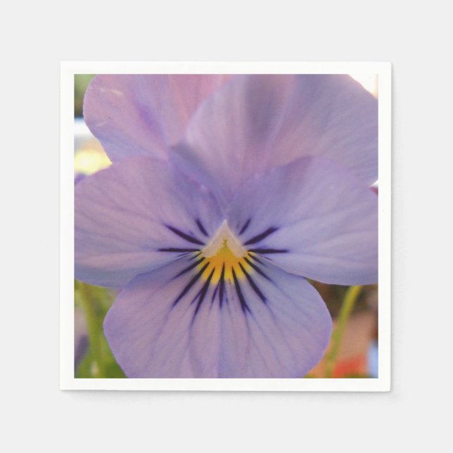 Serviettes En Papier Haetzlern (Devant)