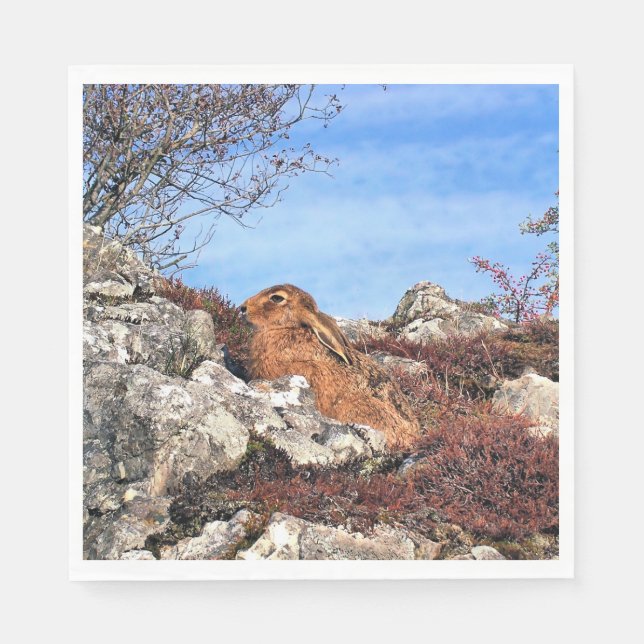 SERVIETTES EN PAPIER HARE (Devant)