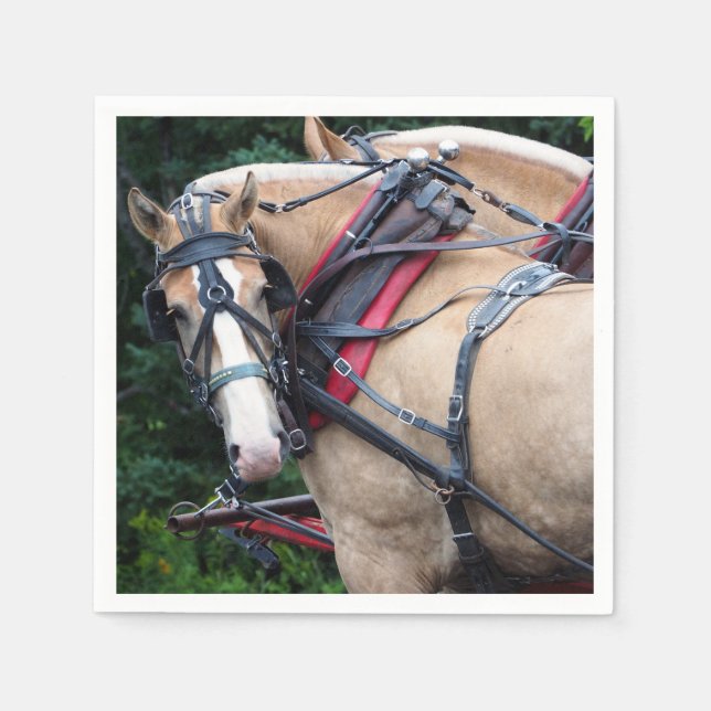 Serviettes En Papier Harnais Palomino (Devant)