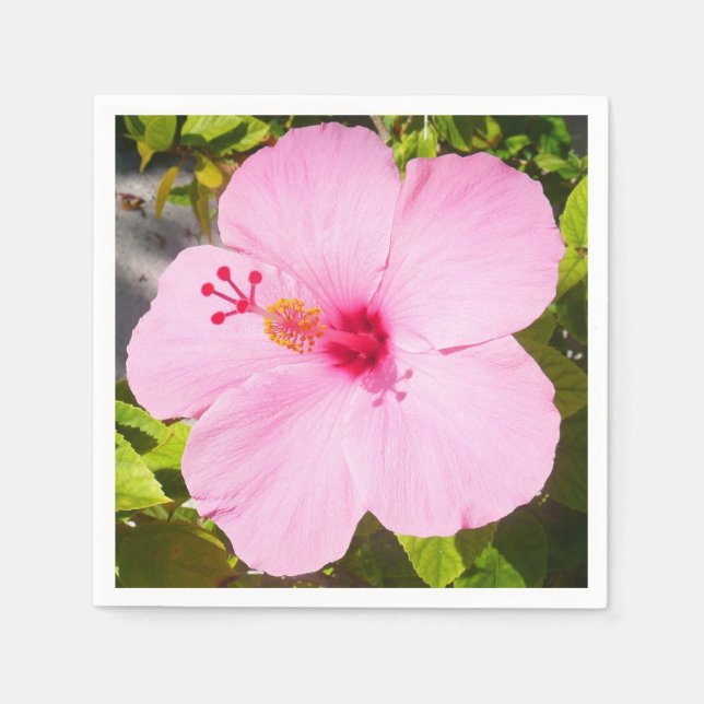 Serviettes En Papier Hibiscus rose Fleur tropicale (Devant)