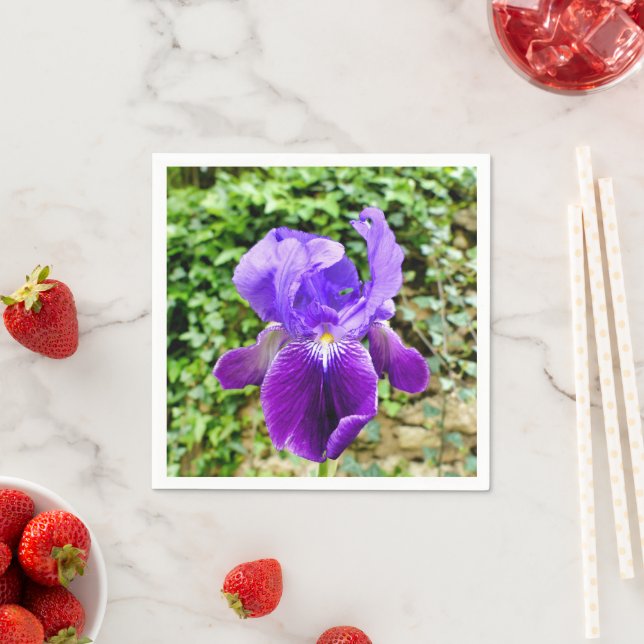 Serviettes En Papier Iris Pâtés (En situation)