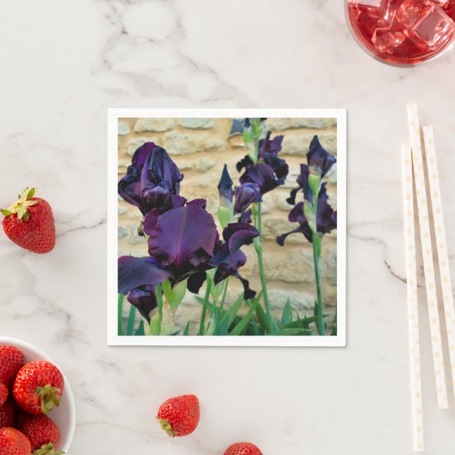 Serviettes En Papier Iris Pâtés (En situation)