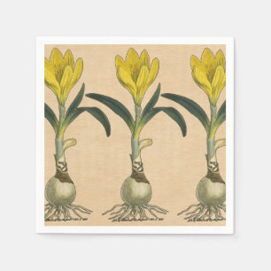 Serviettes En Papier Jardin botanique de tulipe Amaryllis Fleur