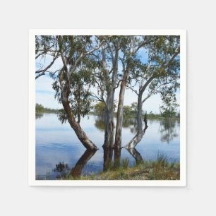 Serviettes En Papier La Beauté D'Un Gomme,