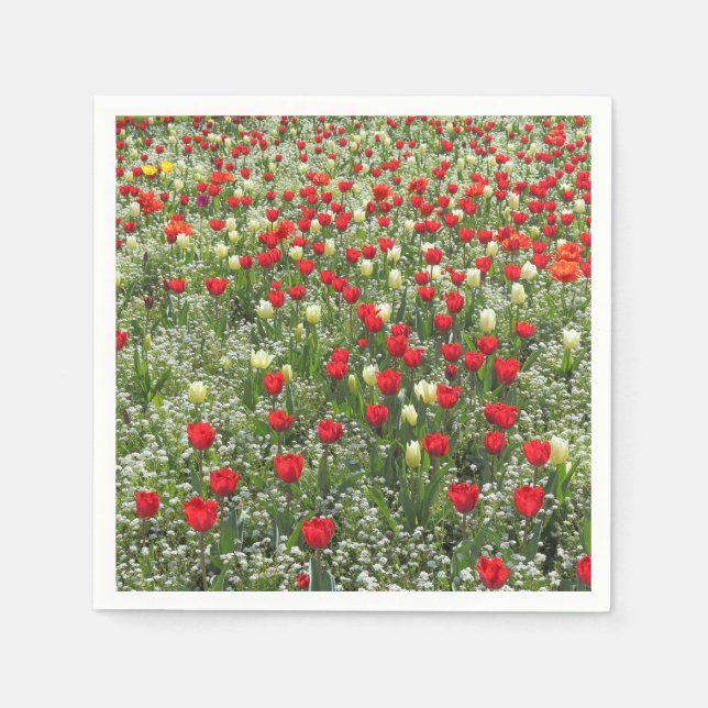 Serviettes En Papier Lit de tulipes (Devant)