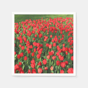 Serviettes En Papier Lit des tulipes rouges 02