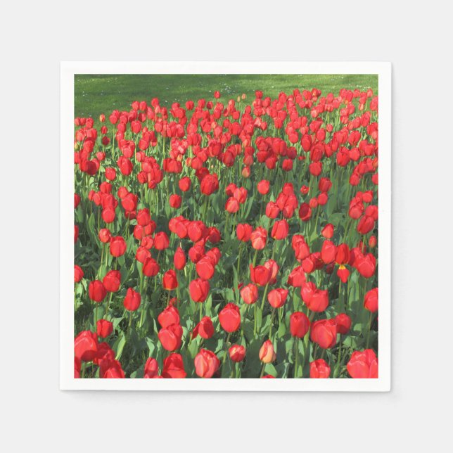 Serviettes En Papier Lit des Tulipes rouges 02 (Devant)