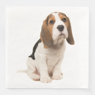 Serviettes En Papier Mariage de chien de race Beagle chiot Fête de mari