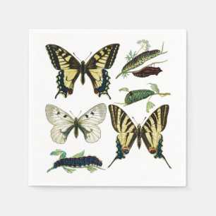 Serviettes En Papier Papillons Swalloway, chenilles et papillons