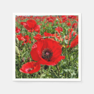 Serviettes En Papier Pavot de Flandre