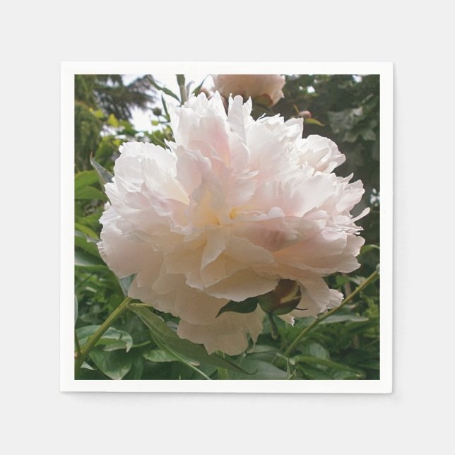 Serviettes En Papier Peony. Fleur. (Devant)