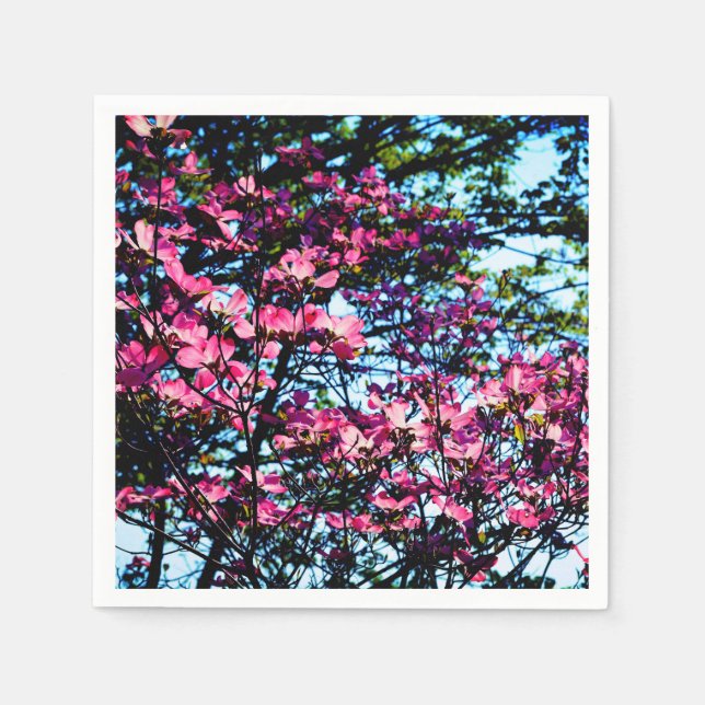 Serviettes En Papier Pink flowering Dogwood tree (Devant)