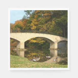 Serviettes En Papier Pont arc-en-ciel en automne au Grove City College