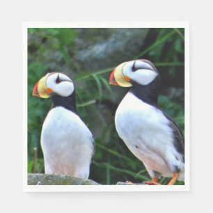 Serviettes en papier pour le déjeuner standard ave