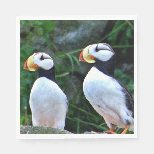 Serviettes en papier pour le déjeuner standard ave (Devant)