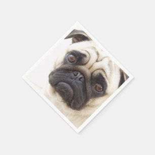 Serviettes En Papier pug-7