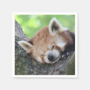 Serviettes En Papier RedPanda20150705