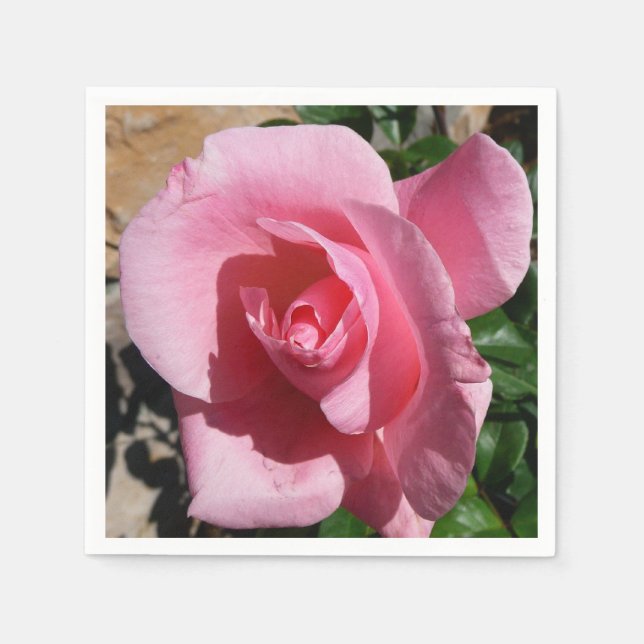 Serviettes En Papier Rose III Jardin Floral (Devant)