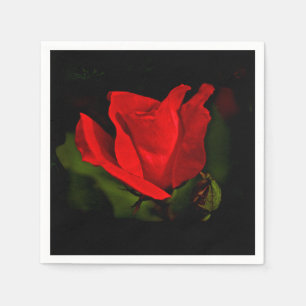 Serviettes En Papier Rose rouge - Passion noire