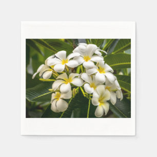 Serviettes En Papier Serviette exotique de cocktail de Plumeria d'île