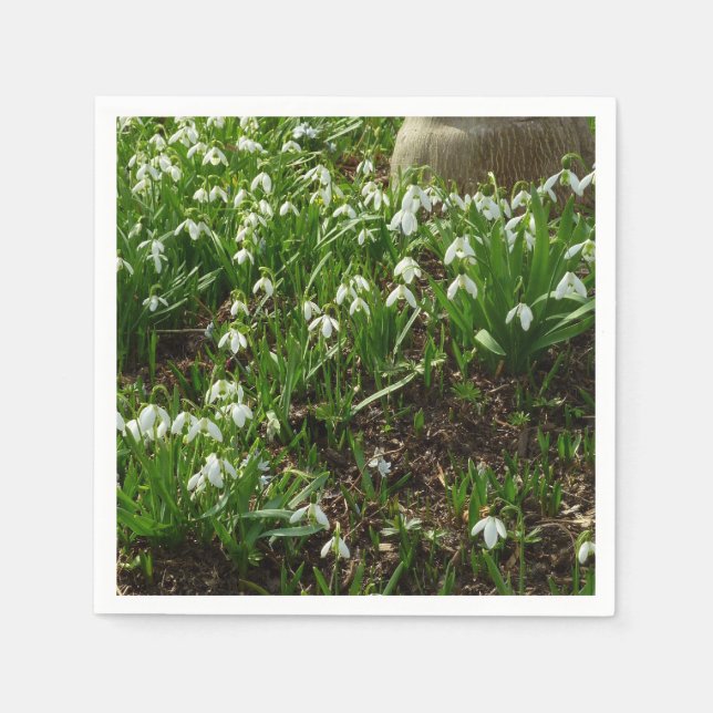 Serviettes En Papier Snowdrops (Devant)