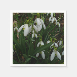 Serviettes En Papier Snowdrops I