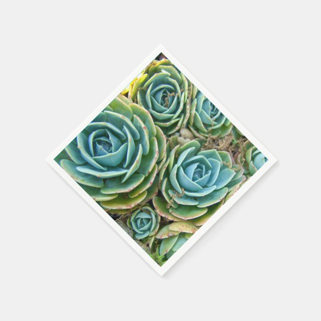 Serviettes En Papier Succulents (Coin)