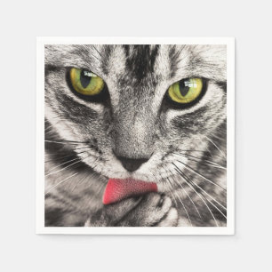 Serviettes En Papier tabby