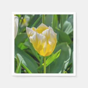 Serviettes En Papier Tulipe jaune et blanche