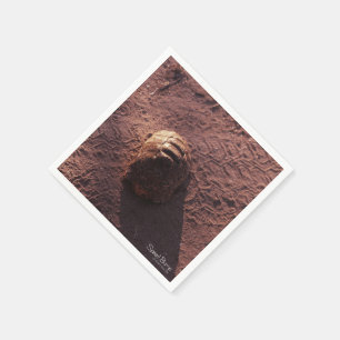 Serviettes En Papier Vitesse