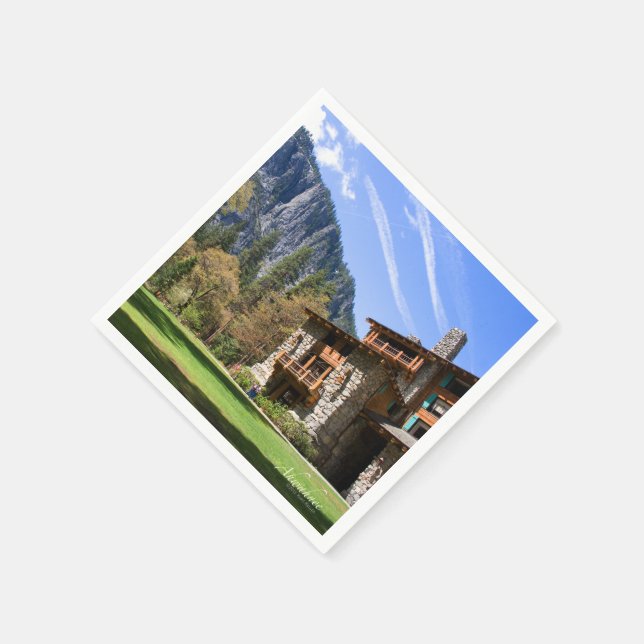 Serviettes Jetables Ahwahnee (Coin)